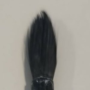 The head of a soft pointed brush